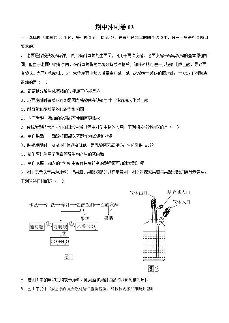 期中冲刺卷03-2023-2024学年高二生物下册期中期末专题高分突破01