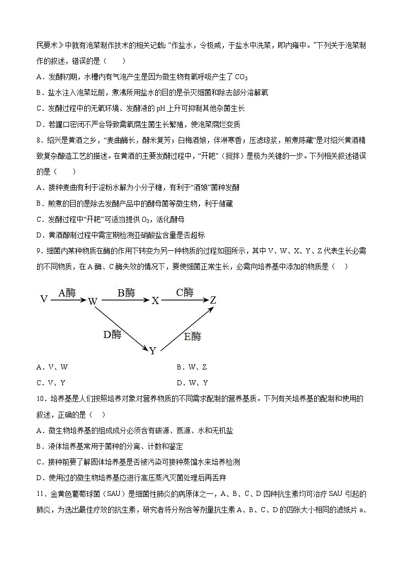 期中冲刺卷03-2023-2024学年高二生物下册期中期末专题高分突破03