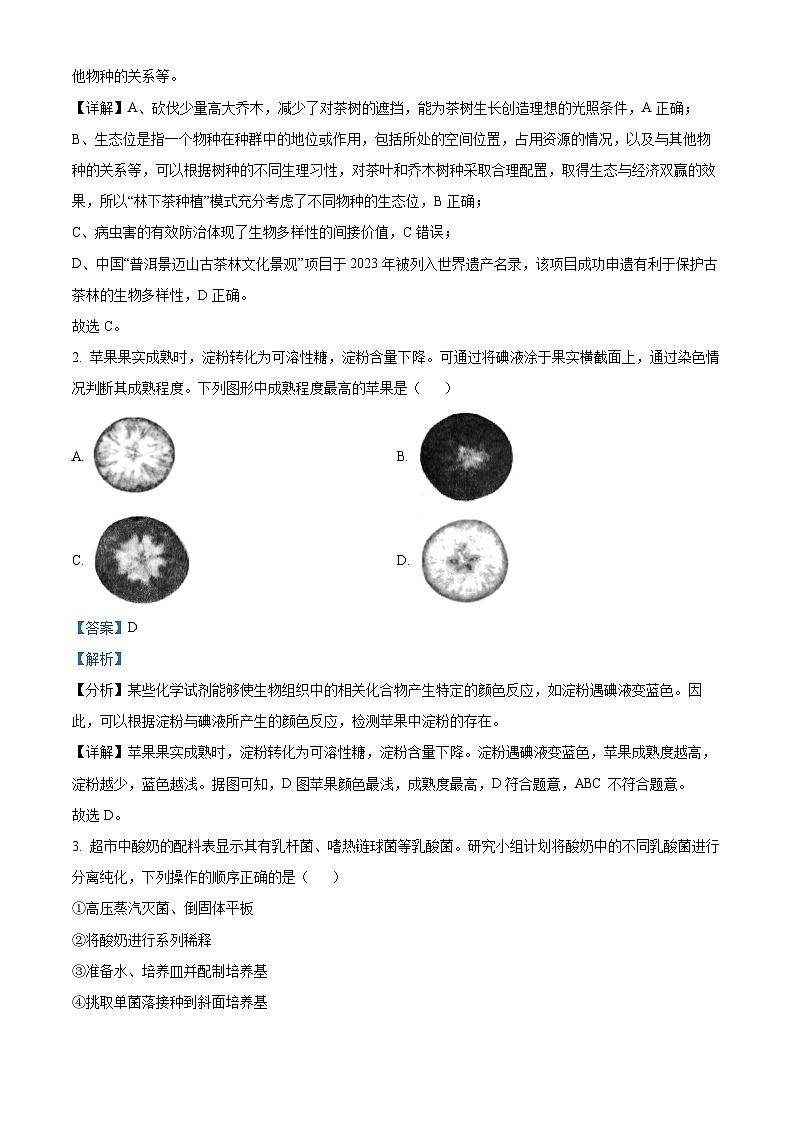 2024届广东省大亚湾区高三联合模拟考试（一）生物试题02