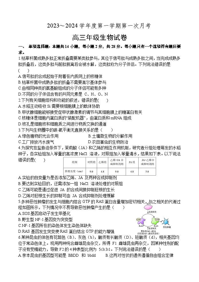 江苏省宿迁市青华中学2023-2024学年高三上学期第一次月考生物试题01