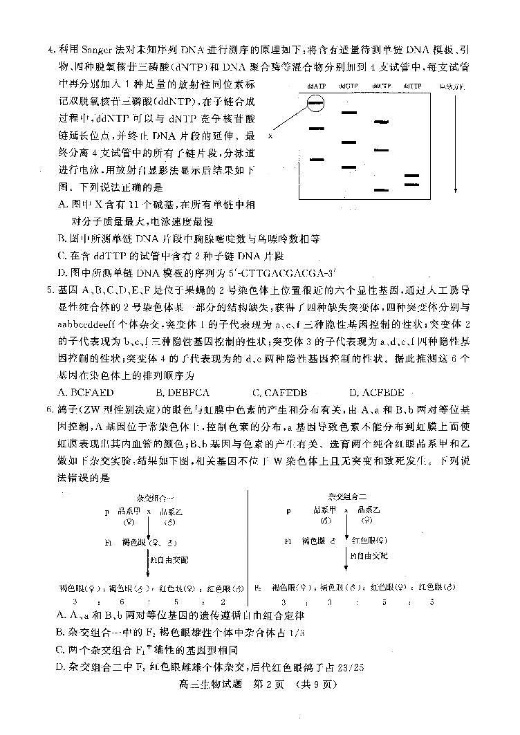 山东省济南市2023-2024学年高三上学期期末学习质量检测生物试题02