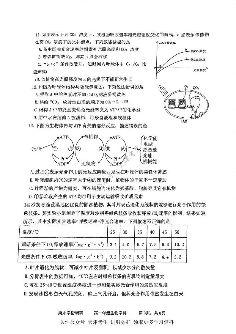 天津市和平区耀华中学2023-2024学年高一上学期期末生物试卷03
