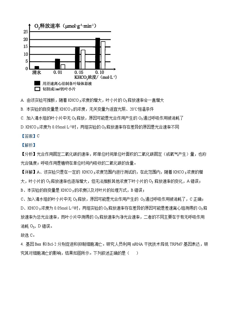 天津市河北区2023-2024学年高三上学期期末质量检测生物试题03