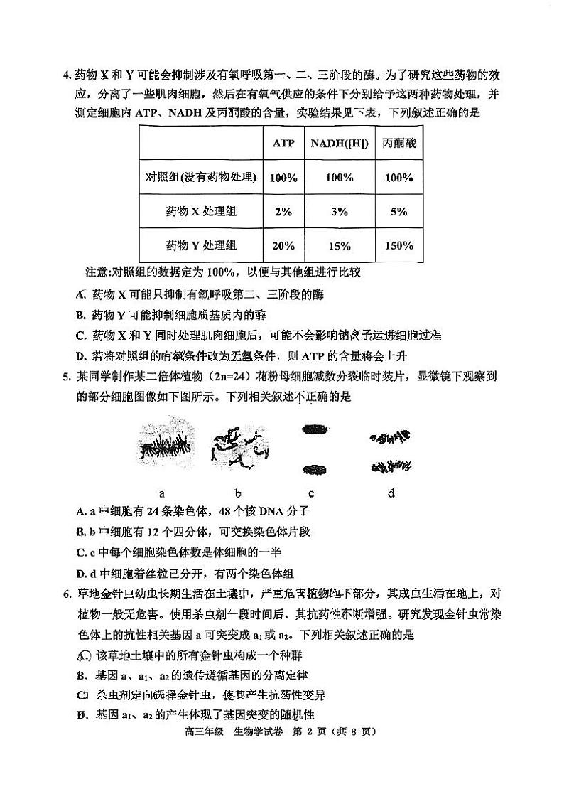 天津市河西区2023-2024学年高三上学期期末质量调查生物试卷第2页