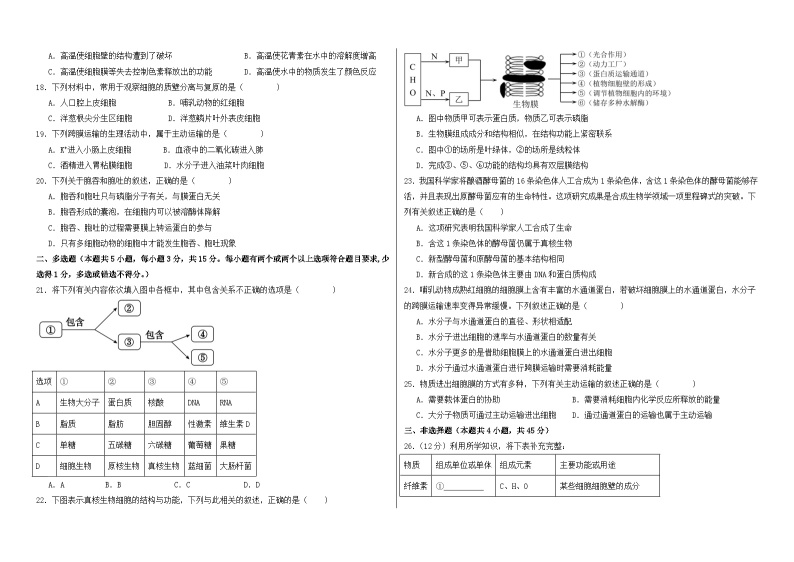 2023-2024学年河南省商丘市柘城县德盛高级中学高一11月月考生物试题03