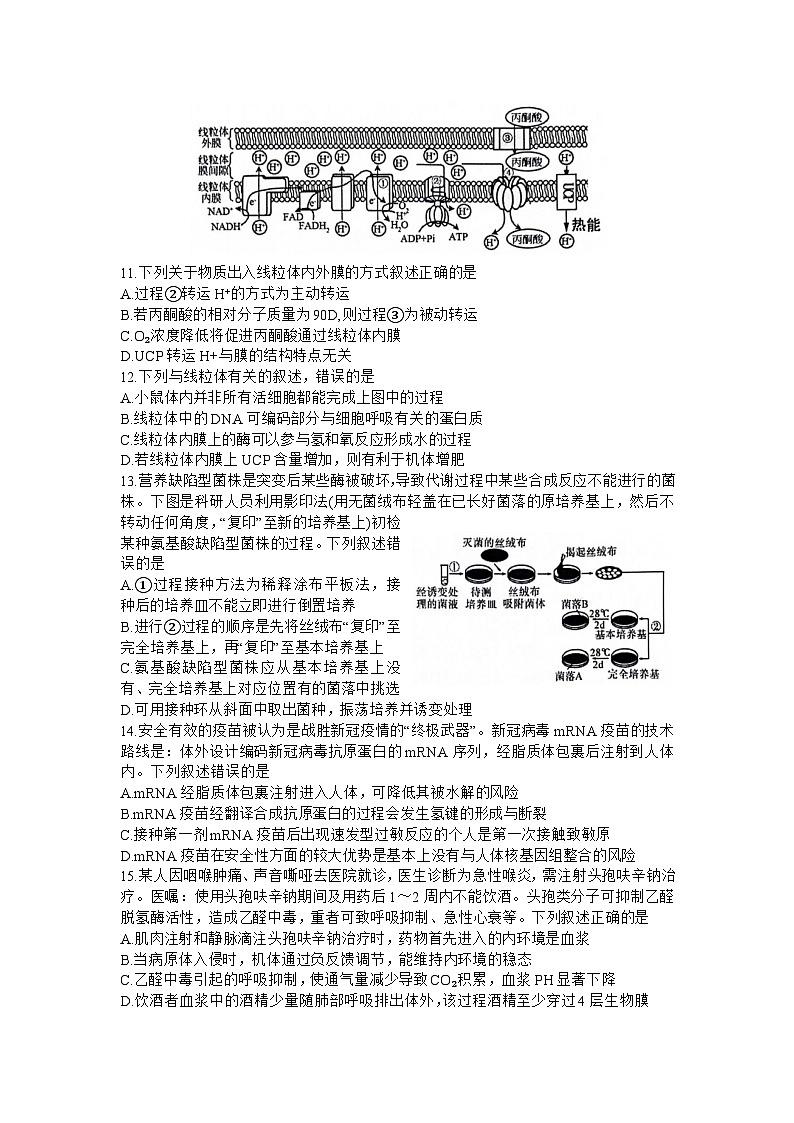 2023-2024学年浙江省金丽衢十二校高三上学期12月联考生物试题03
