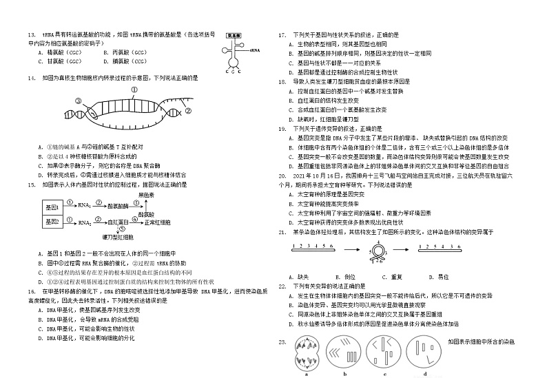01，宁夏回族自治区石嘴山市大武口区石嘴山第三中学2022-2023学年第二学期高一年级期末生物期末试卷02
