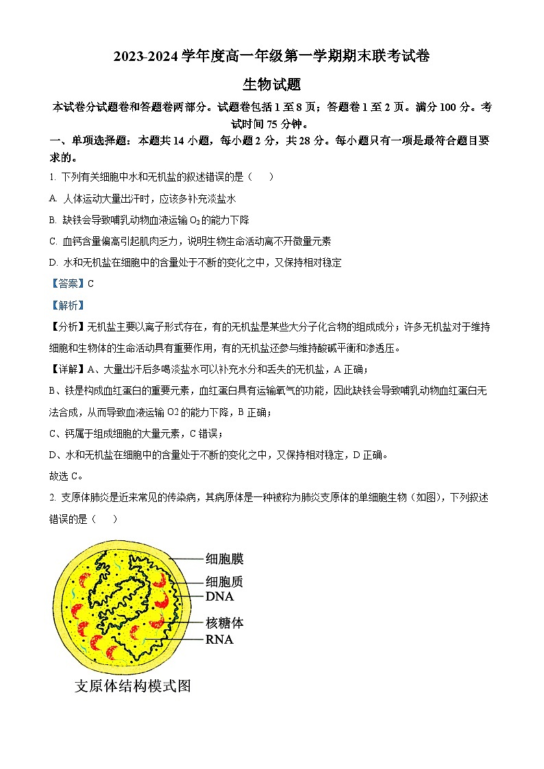 02，江苏省盐城市一中等三校2023-2024学年高一上学期期末联考生物试题第1页