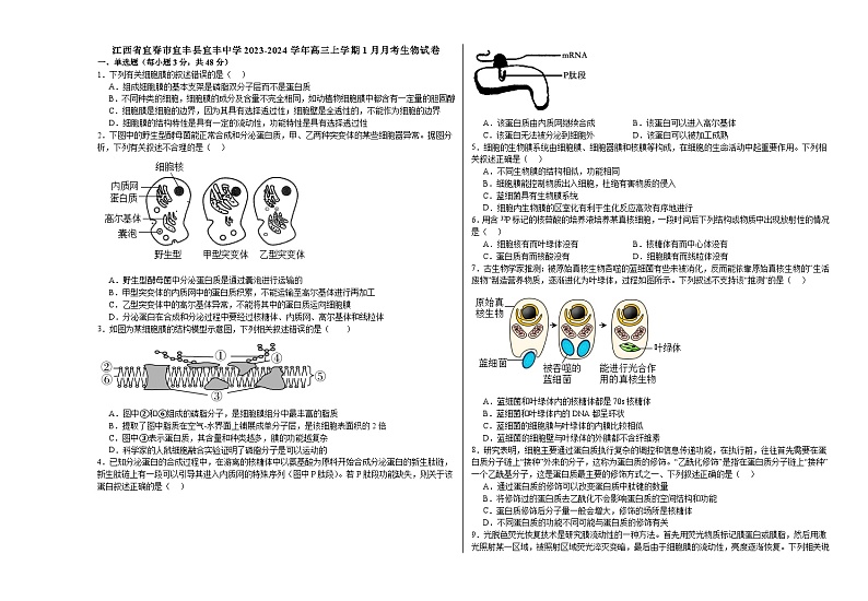 11，江西省宜春市宜丰县宜丰中学2023-2024学年高三上学期1月月考生物试题第1页