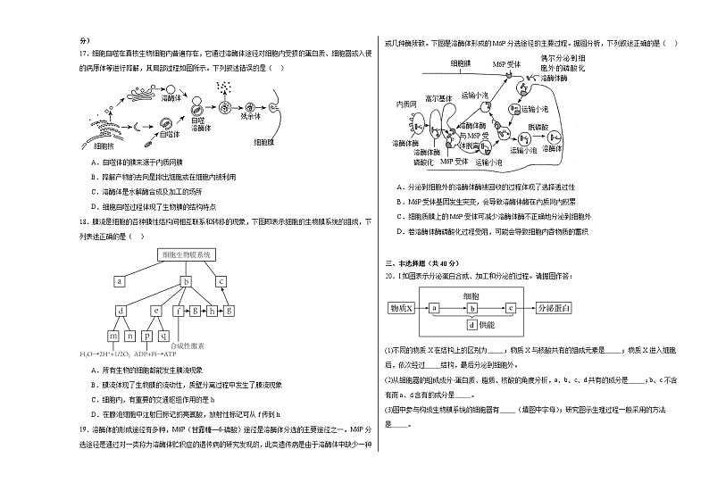 11，江西省宜春市宜丰县宜丰中学2023-2024学年高三上学期1月月考生物试题第3页