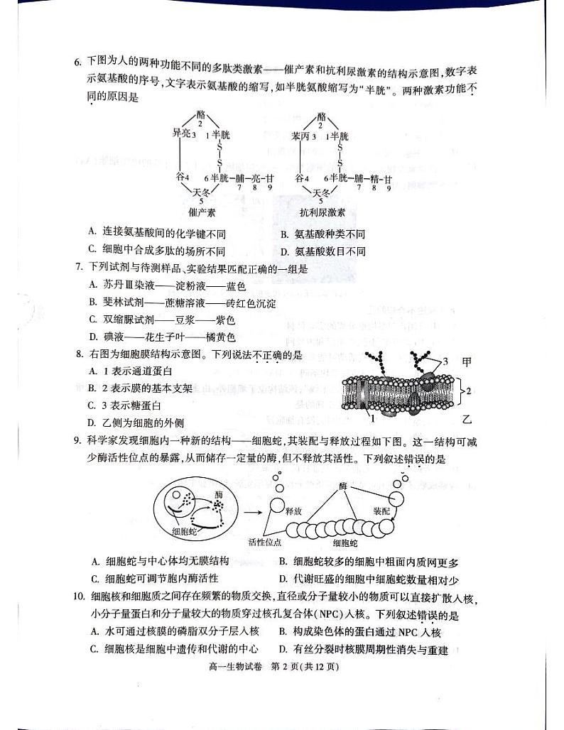 24，北京市朝阳区2023-2024学年高一上学期期末质量检测生物试题第2页