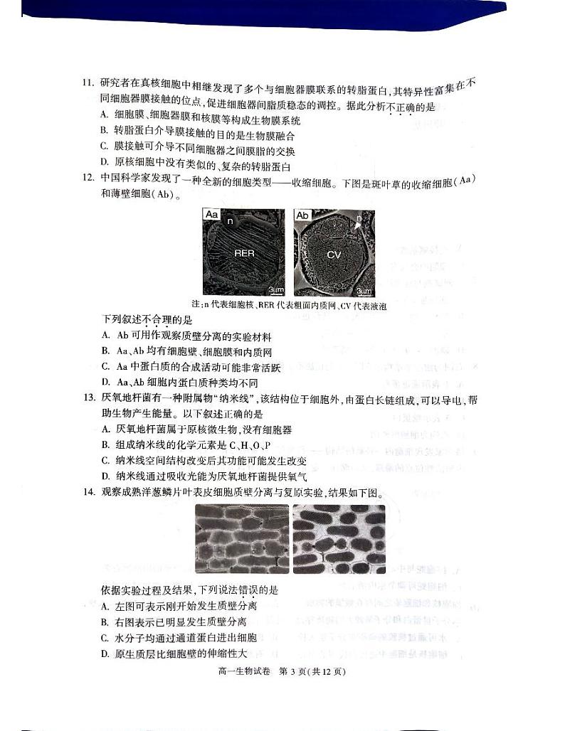 24，北京市朝阳区2023-2024学年高一上学期期末质量检测生物试题第3页