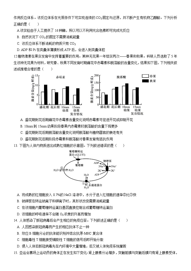 25，浙江省杭州市建德市严州中学2023-2024学年高二上学期12月学情检测生物试题03