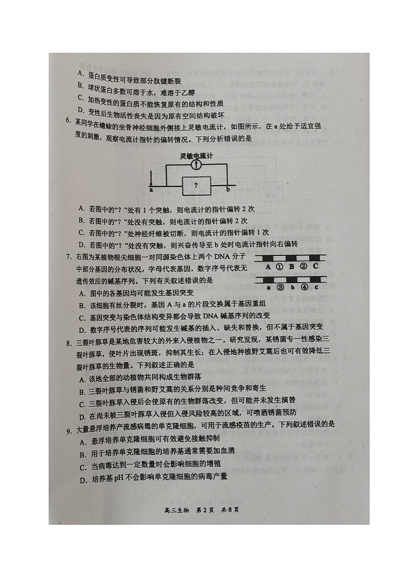 26，辽宁省葫芦岛市2023-2024学年高三上学期期末考试生物试题02