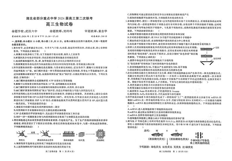 27，2024届湖北省部分重点中高三第二次联考生物试卷01