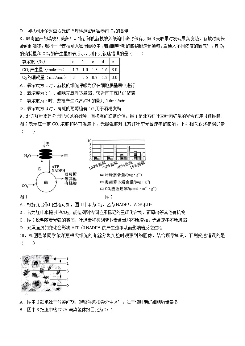 32，湖南省名校联考联合体2023-2024学年高一上学期期末生物试题03