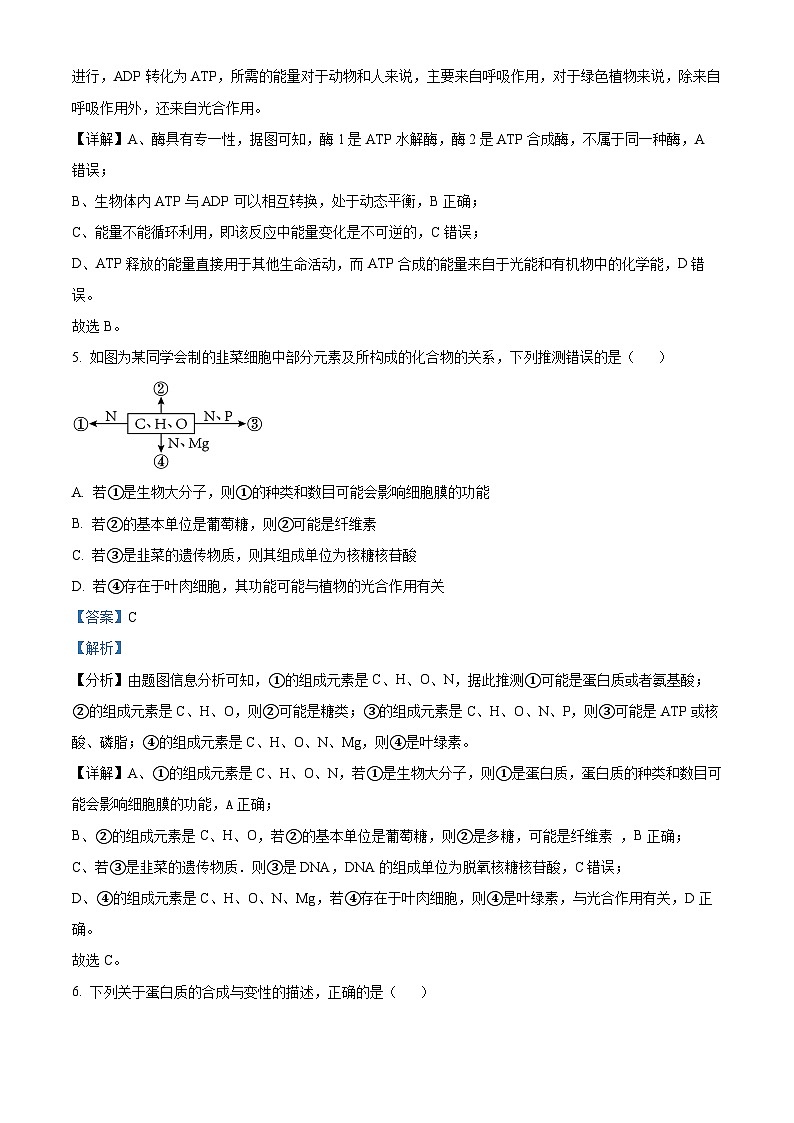 36，宁夏石嘴山市平罗中学2023-2024学年高一上学期期末生物试题03