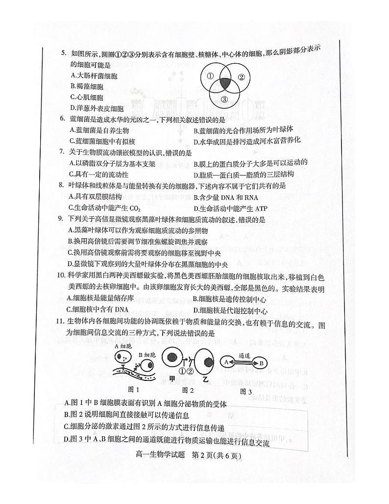 15，山西省阳泉市2023-2024学年高一上学期期末考试生物试题第2页