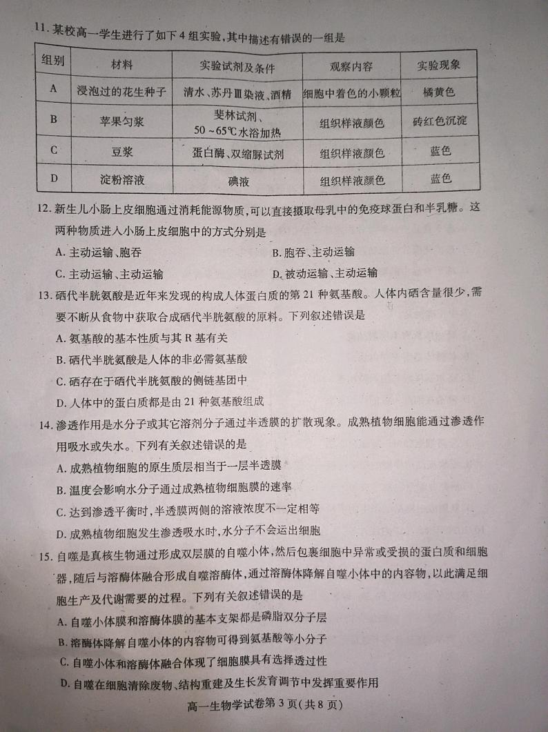 18，四川省内江市2023-2024学年高一上学期1月期末生物试题第3页