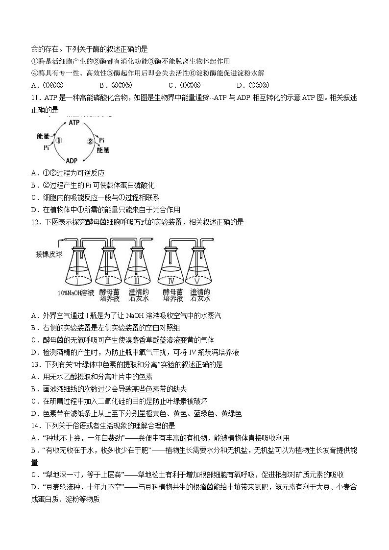 22，辽宁省丹东市2023-2024学年高一上学期期末质量检测生物试题03