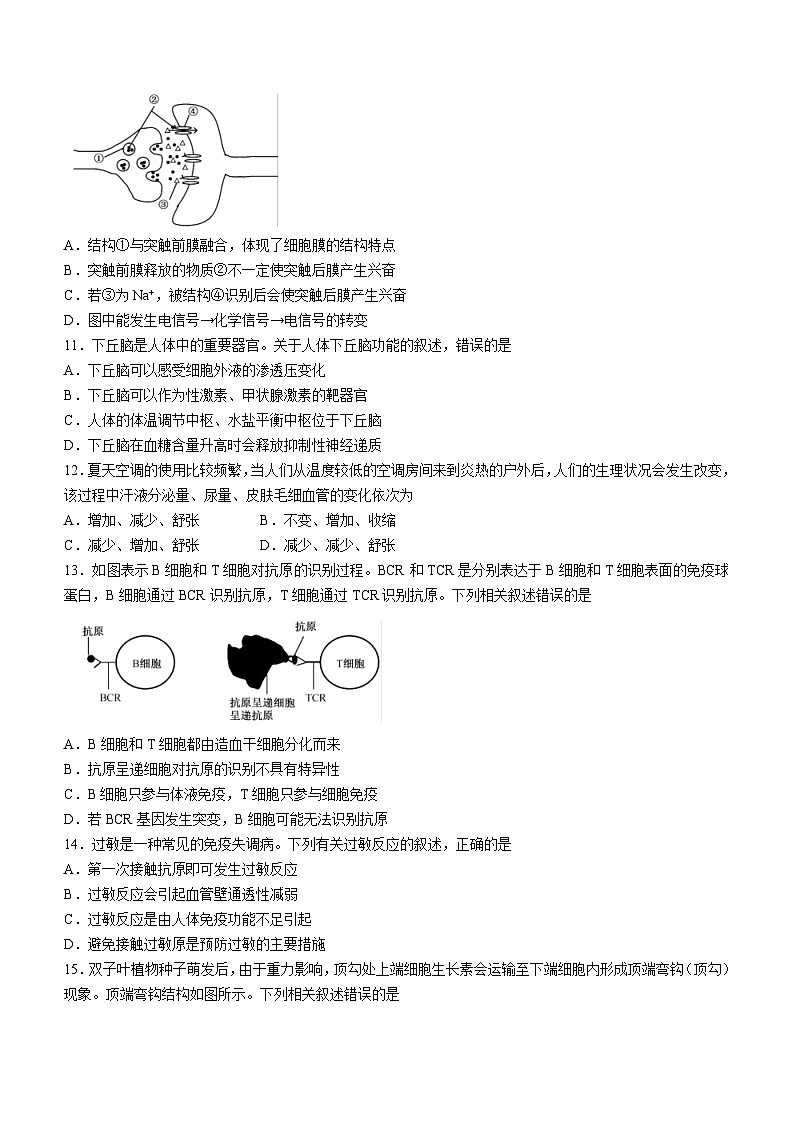 24，青海省西宁市大通县2023-2024学年高二上学期期末生物试题03