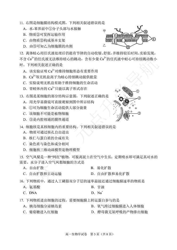 大连2024高一上学期期末生物试卷+答案03