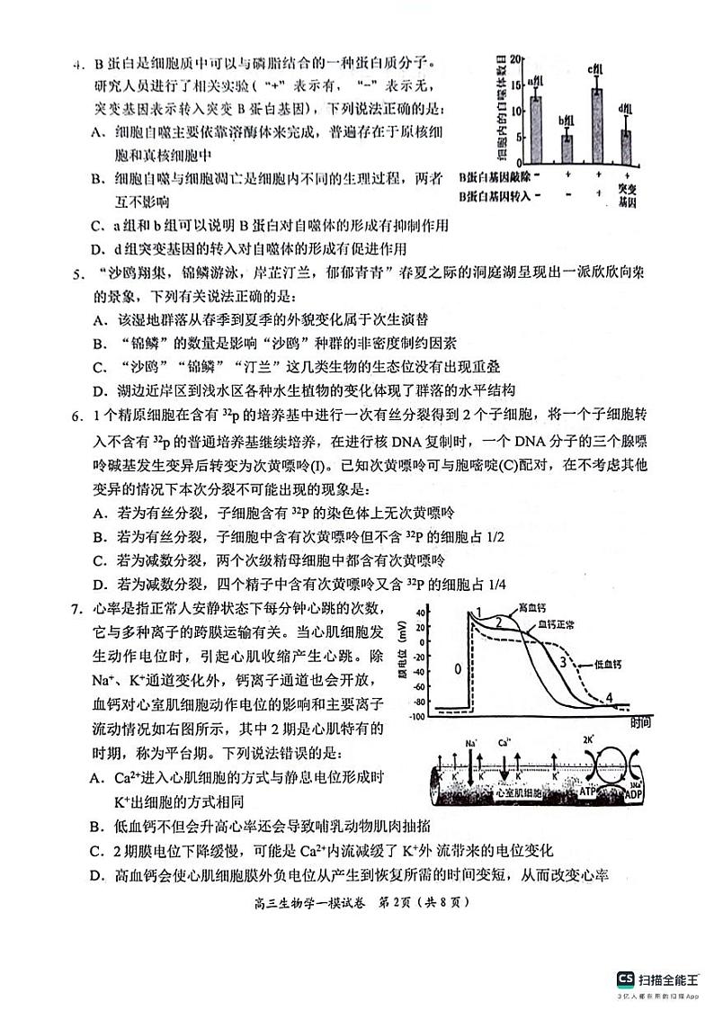 2024岳阳高三上学期教学质量监测（一）（一模）生物PDF版含答案02