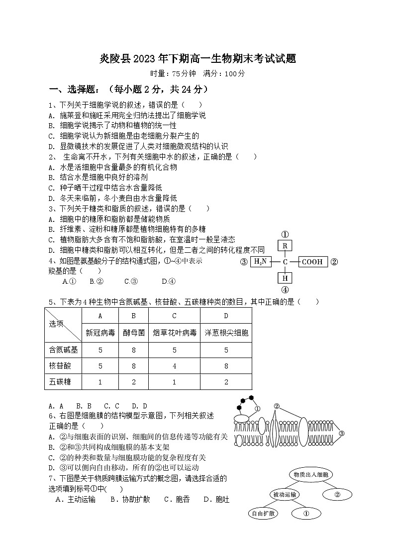 2024株洲炎陵县高一上学期期末考试生物含答案01