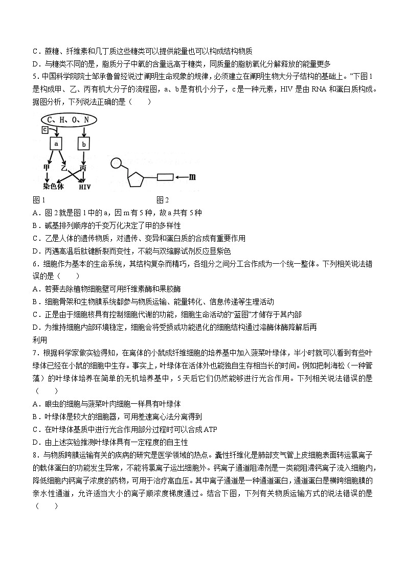 2024湖北省新高考联考协作体高一上学期期末考试生物（A卷）含解析02