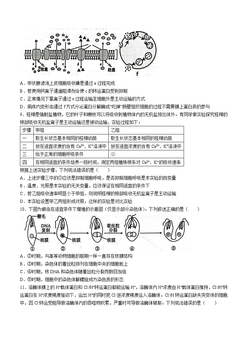 2024湖北省新高考联考协作体高一上学期期末考试生物（A卷）含解析03