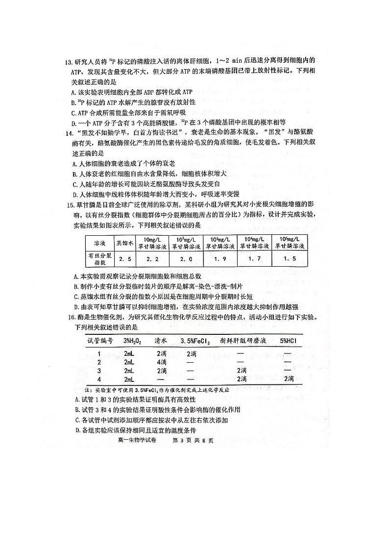 2024衢州高一上学期1月期末试题生物PDF版含答案03