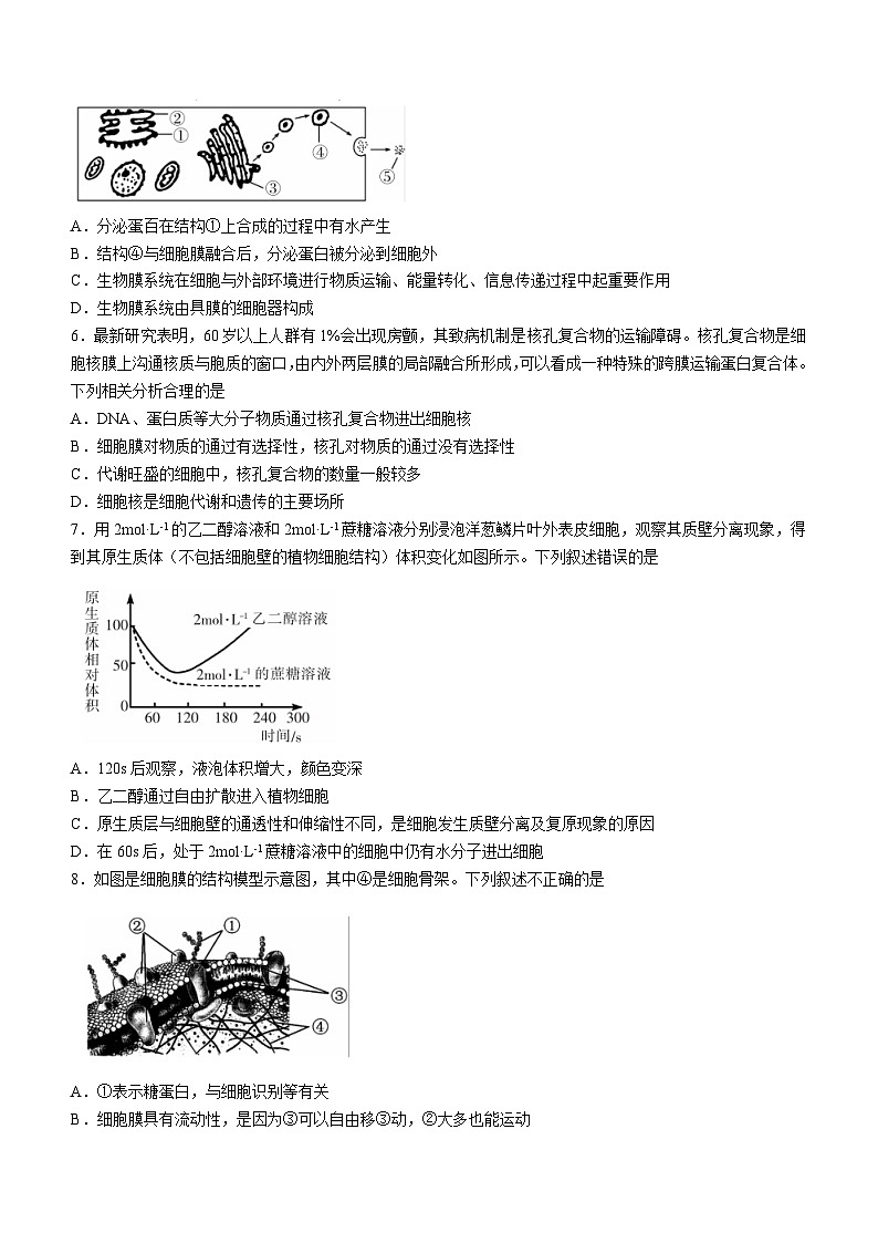 湖南省衡阳市2023-2024学年高三上学期期末考试生物试题（Word版附答案）02