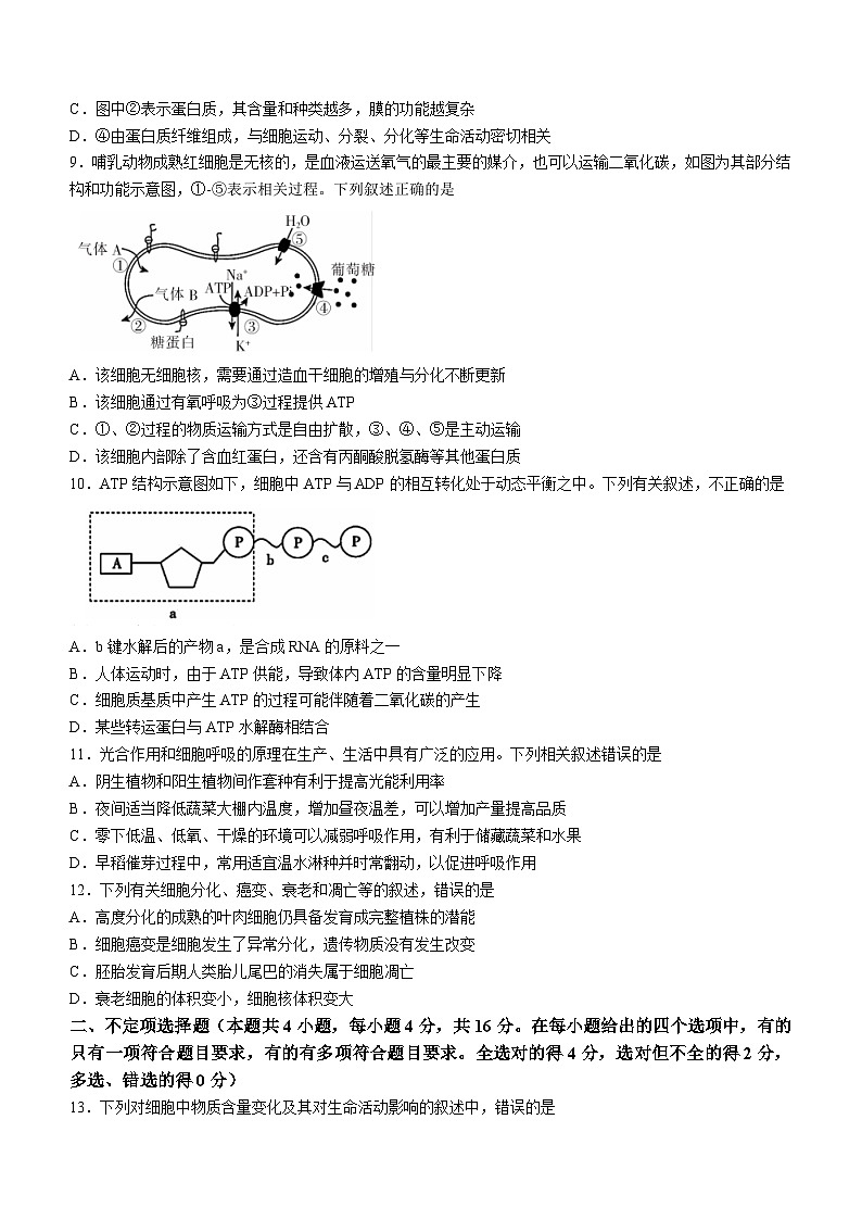 湖南省衡阳市2023-2024学年高三上学期期末考试生物试题（Word版附答案）03
