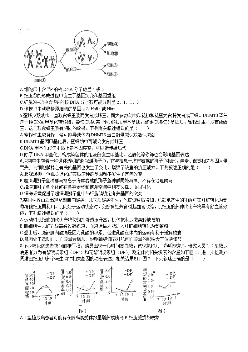 湖南省永州市2024届高三上学期二模生物试题（Word版附答案）02