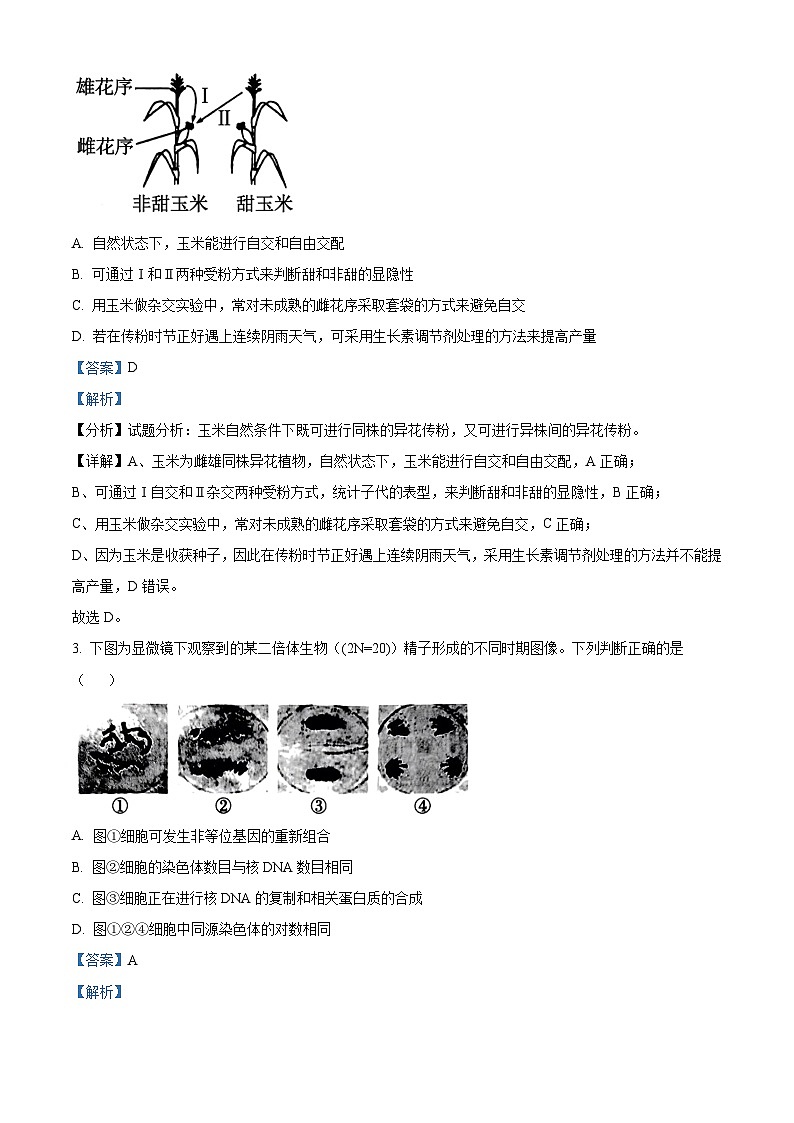 重庆市巴蜀中学2023-2024学年高二1月期末生物试题（Word版附解析）第2页