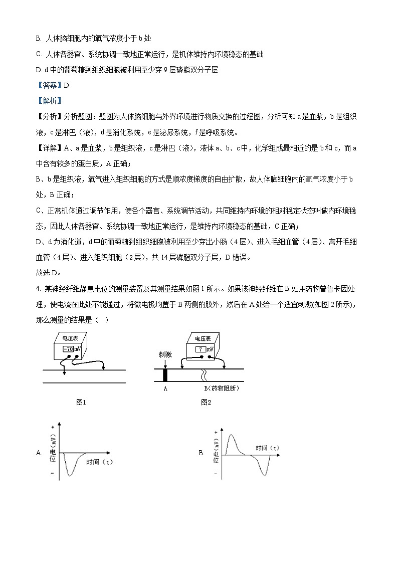 重庆市七校2023-2024学年高二上学期期末联考生物试题（Word版附解析）第3页