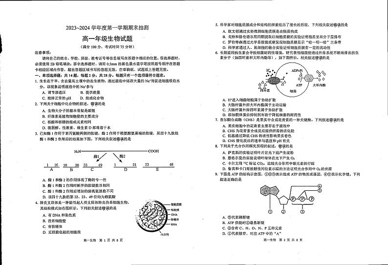 江苏省徐州市第七中学2023-2024学年高一上学期期末生物学试题01