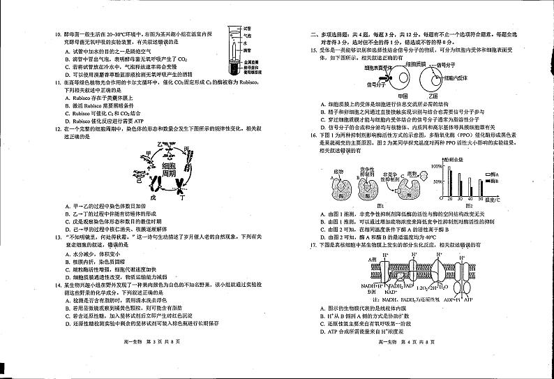 江苏省徐州市第七中学2023-2024学年高一上学期期末生物学试题02