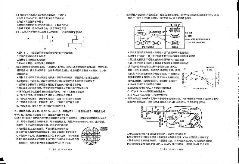 江苏省徐州市第七中学2023-2024学年高二上学期期末生物学试题02