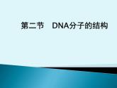 3.2 DNA的结构 课件 2022—2023学年高一下学期生物人教版必修2