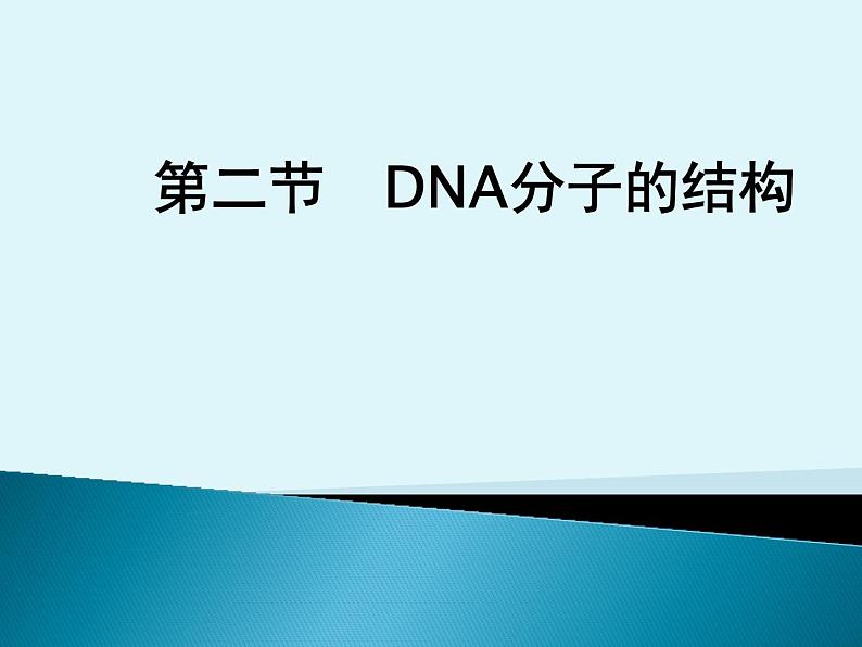 3.2 DNA的结构 课件 2022—2023学年高一下学期生物人教版必修2第2页