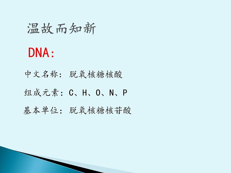 3.2 DNA的结构 课件 2022—2023学年高一下学期生物人教版必修2第3页
