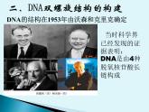 3.2 DNA的结构 课件 2022—2023学年高一下学期生物人教版必修2