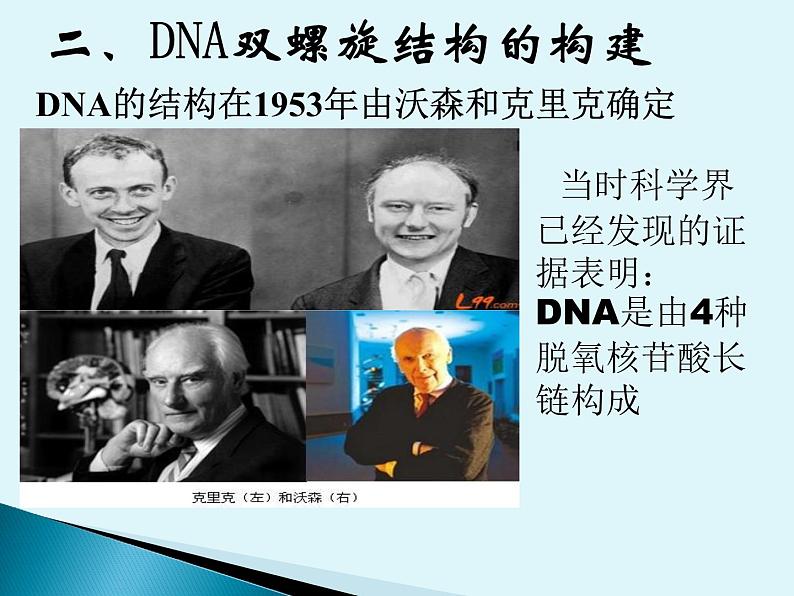 3.2 DNA的结构 课件 2022—2023学年高一下学期生物人教版必修2第5页