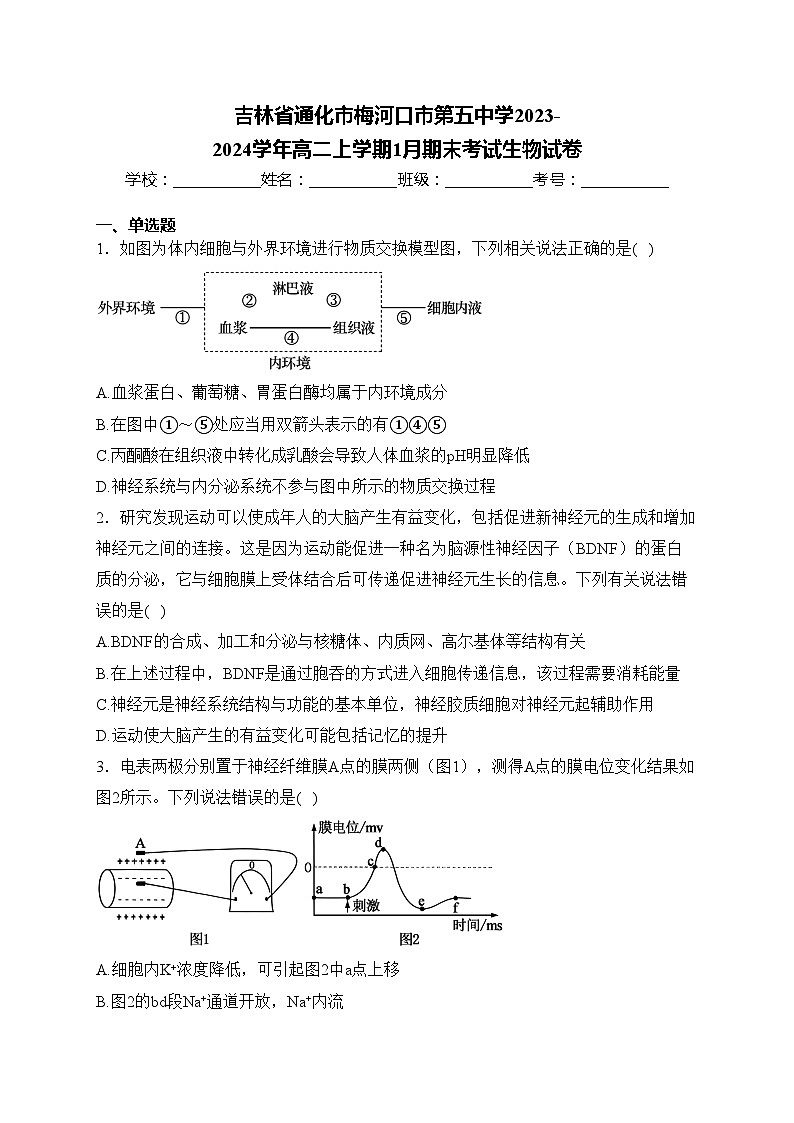 吉林省通化市梅河口市第五中学2023-2024学年高二上学期1月期末考试生物试卷(含答案)01