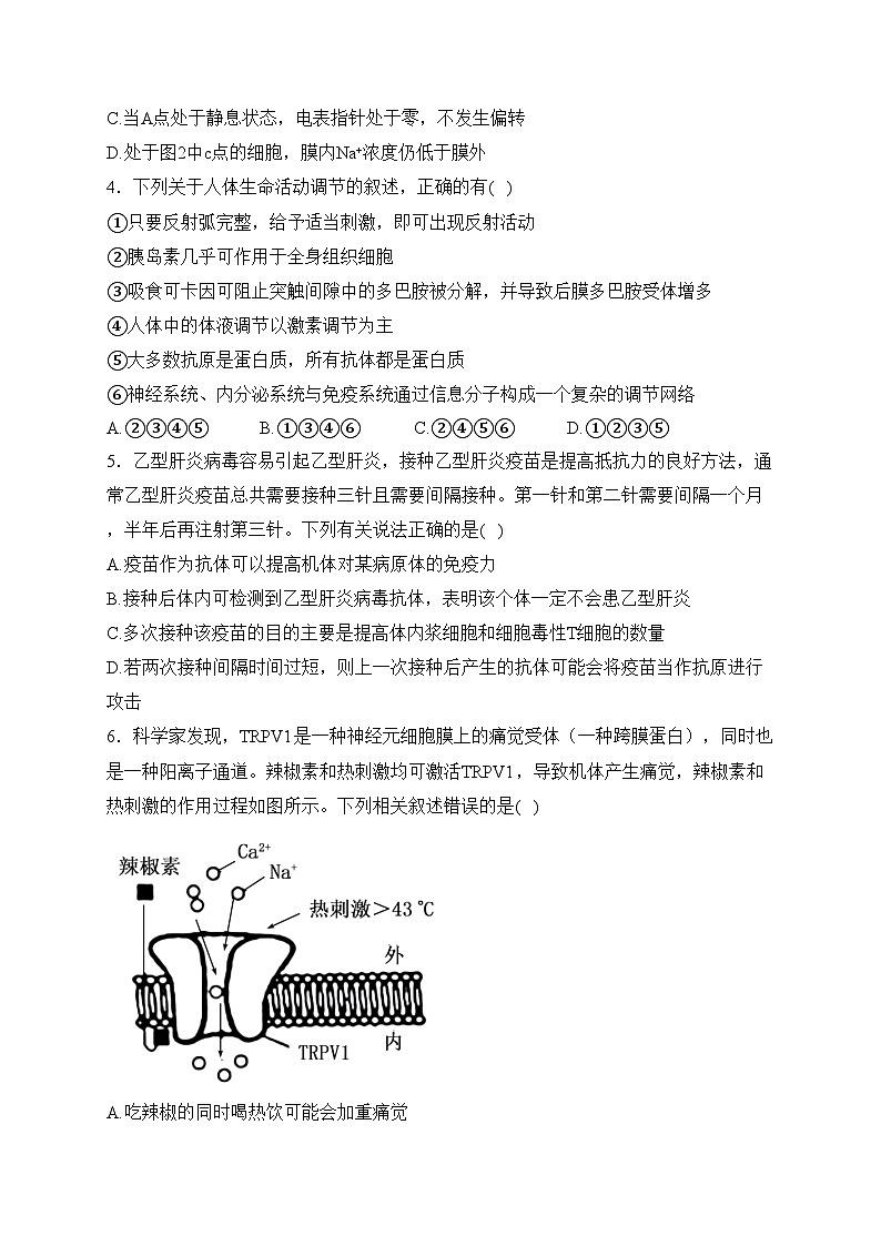 吉林省通化市梅河口市第五中学2023-2024学年高二上学期1月期末考试生物试卷(含答案)02