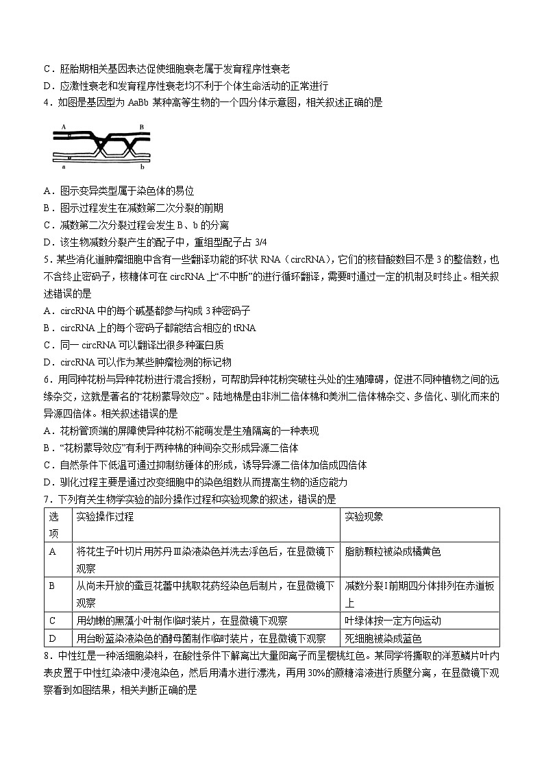 江苏省南通市2024届高三上学期第一次调研测试（一模）生物试题（Word版附答案）02
