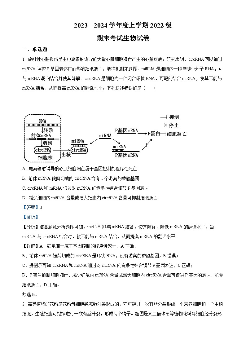 湖北省荆州市沙市中学2023-2024学年高二1月期末生物试题含解析第1页