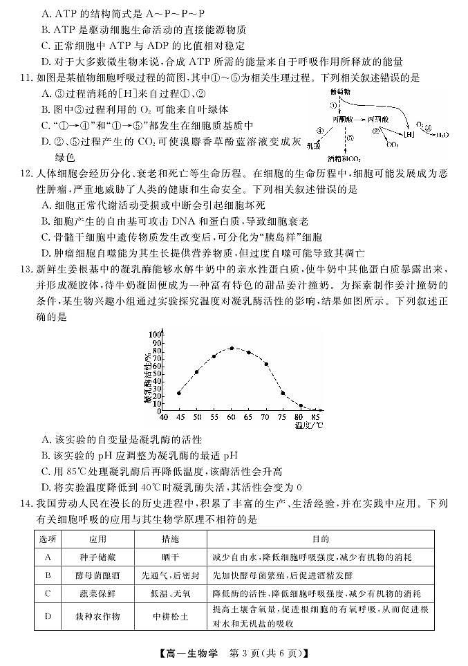 2024北海高一上学期期末考试生物PDF版含答案03