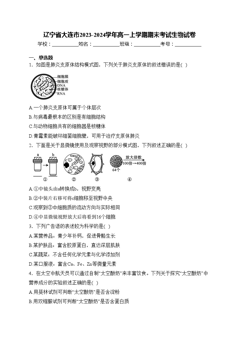 辽宁省大连市2023-2024学年高一上学期期末考试生物试卷(含答案)01